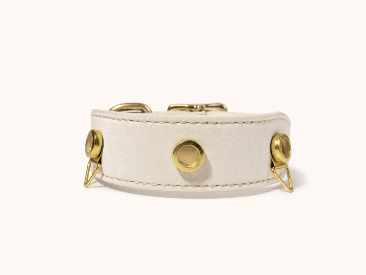 Paw My Life Essential Collar collection