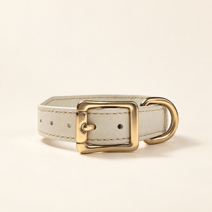 Essential Collar