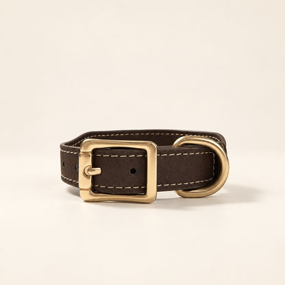 Essential Collar