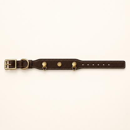 Essential Collar