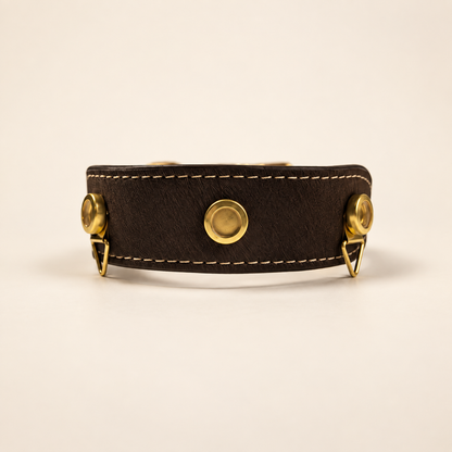 Essential Collar